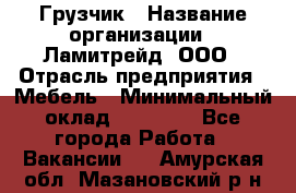 Грузчик › Название организации ­ Ламитрейд, ООО › Отрасль предприятия ­ Мебель › Минимальный оклад ­ 30 000 - Все города Работа » Вакансии   . Амурская обл.,Мазановский р-н